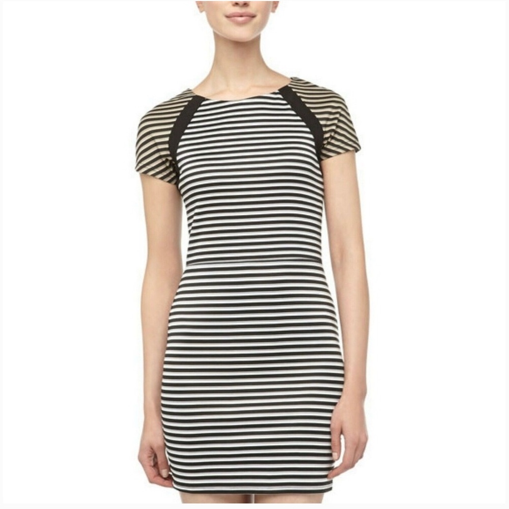 Lucca Couture dress